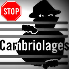 cambriolages.jpg